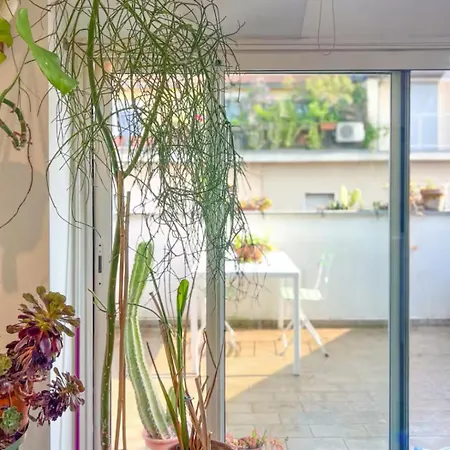 Penthouse With Terrace Milánó